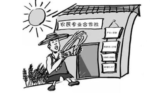 農(nóng)民專業(yè)合作社屬于企業(yè)法人嗎？農(nóng)民專業(yè)合作社的概念